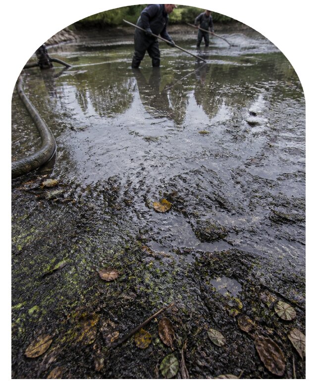Очистка пруда в Лесозаводске от ила мусора и водорослей с вывозом